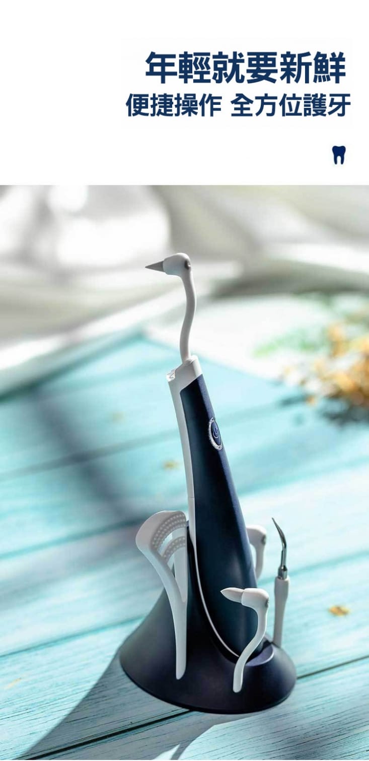 VIBRATION 高效多功能電動潔牙沖牙器