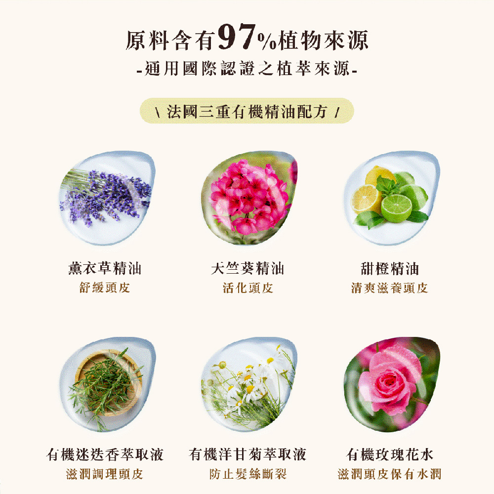 【PureHome無毒家園】植萃護色洗髮精480ml