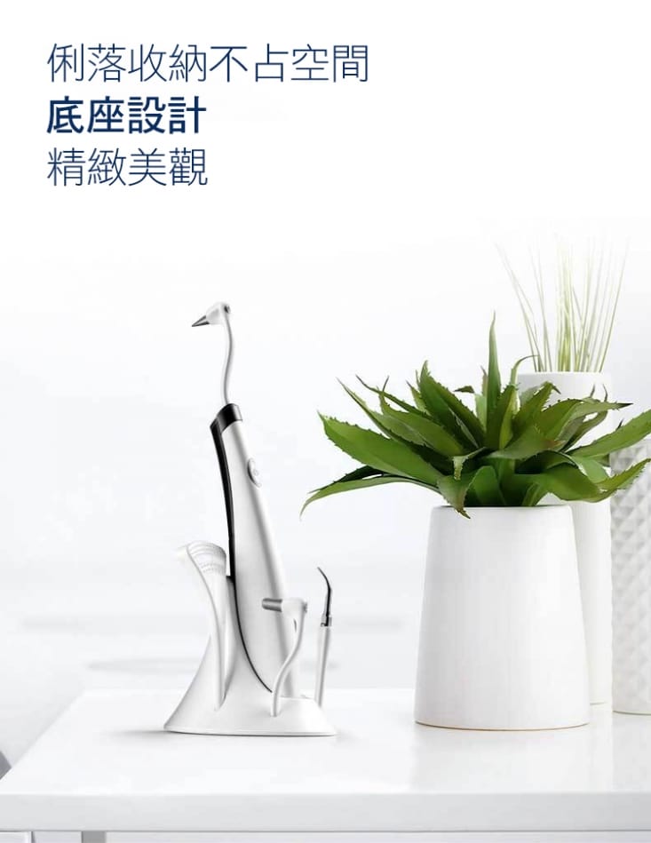VIBRATION 高效多功能電動潔牙沖牙器