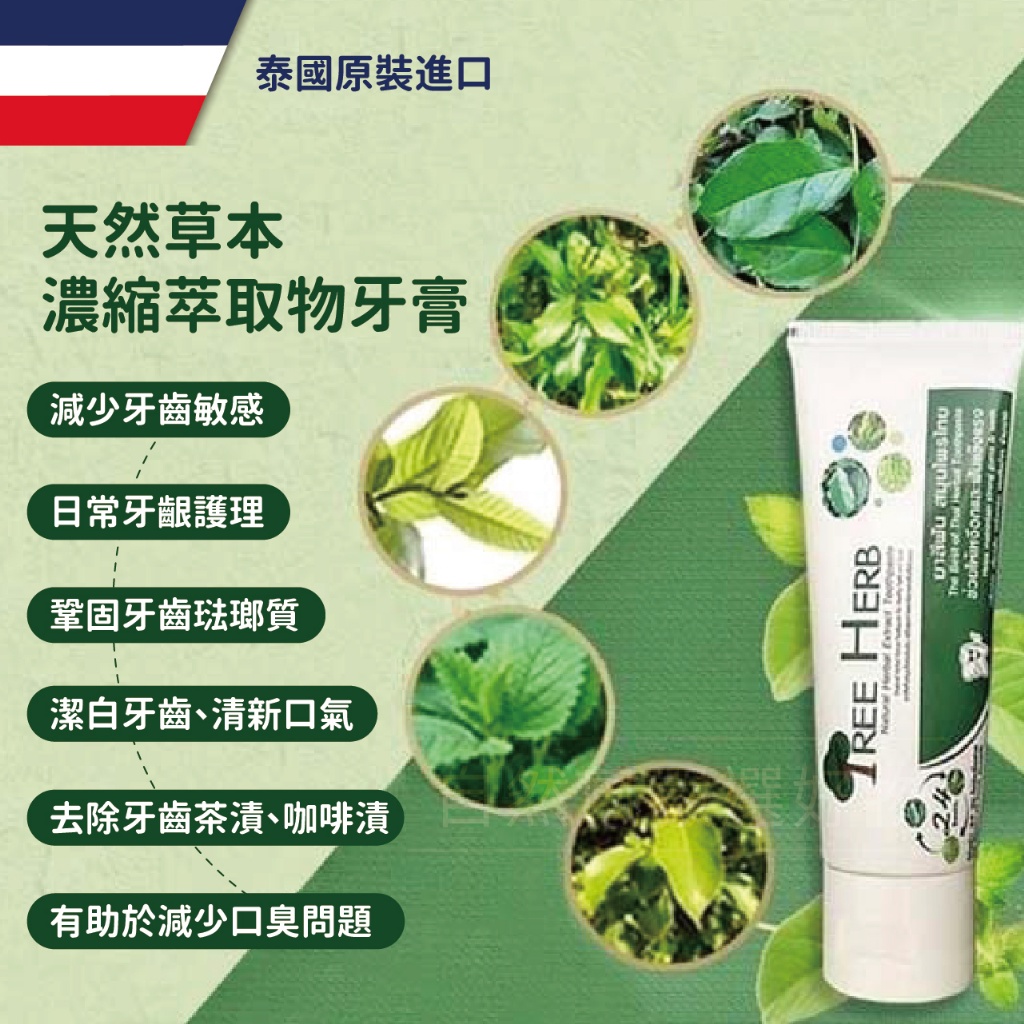 【Tree herb】泰國天然草本護齦牙膏80g 指定方案送電動牙刷