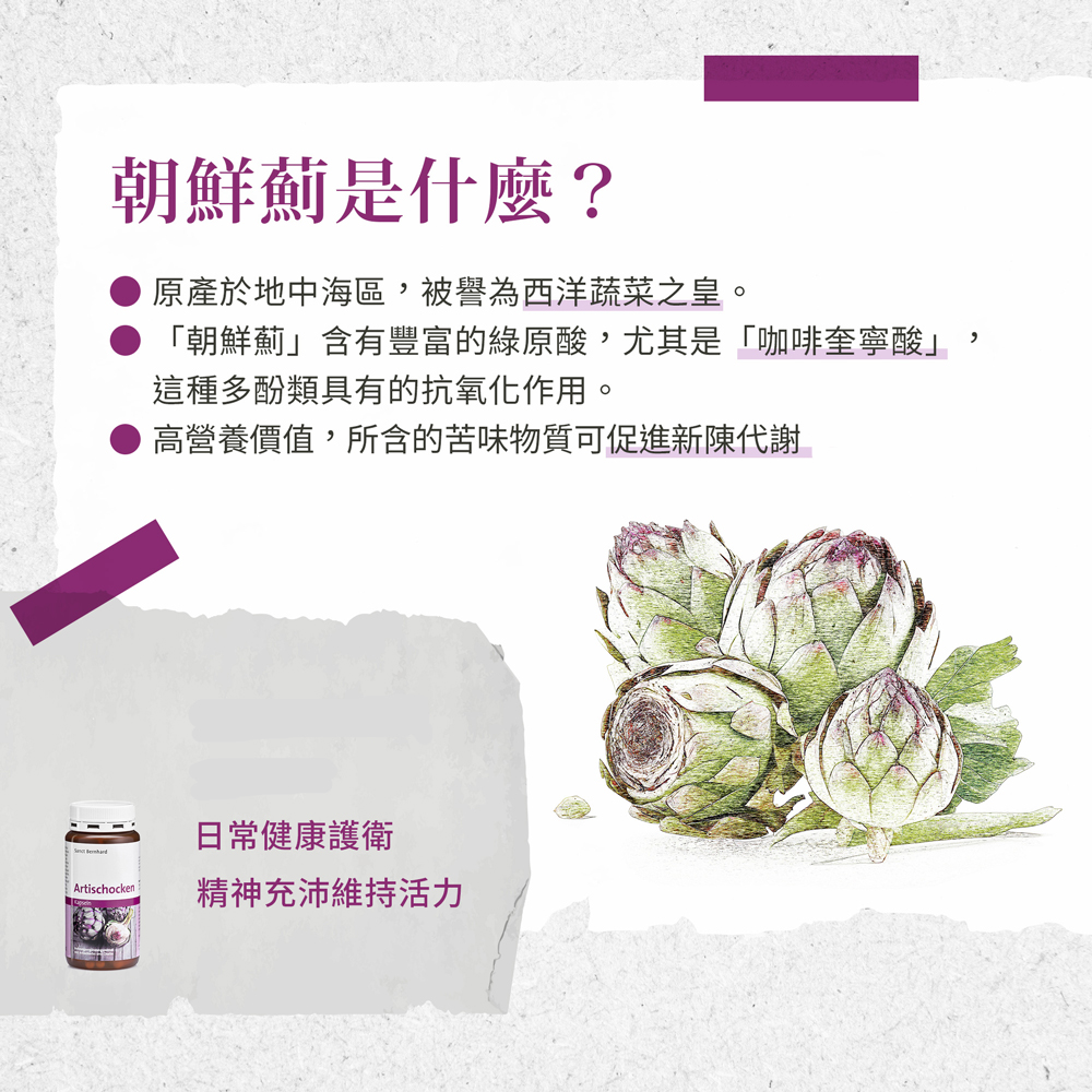 德國百年草本 Sanct Bernhard 朝鮮薊膠囊