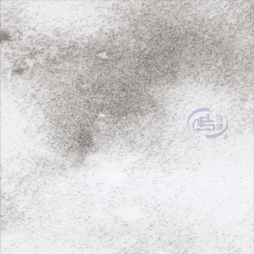 【百鈴】髒會滅輕巧無塵淨淨掃+補充替換頭x1(海綿掃把/柔頭掃把/無毛掃把/居家掃具/清潔小工具/毛髮灰塵清潔)