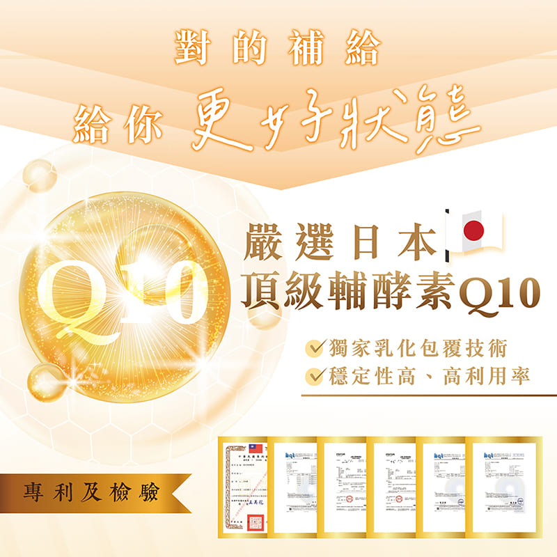 蚓激酶地龍酵素複方膠囊