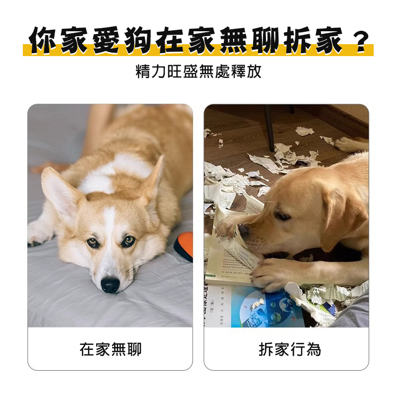 寵物狗狗發聲報紙可耐咬磨牙自嗨玩具