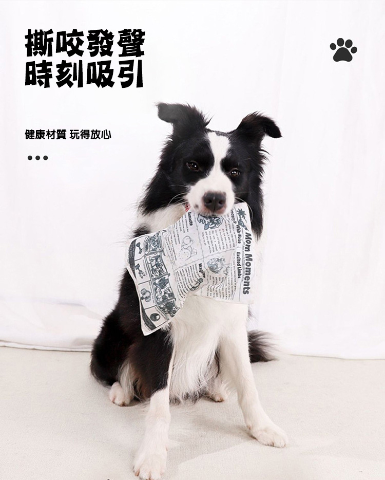 寵物狗狗發聲報紙可耐咬磨牙自嗨玩具