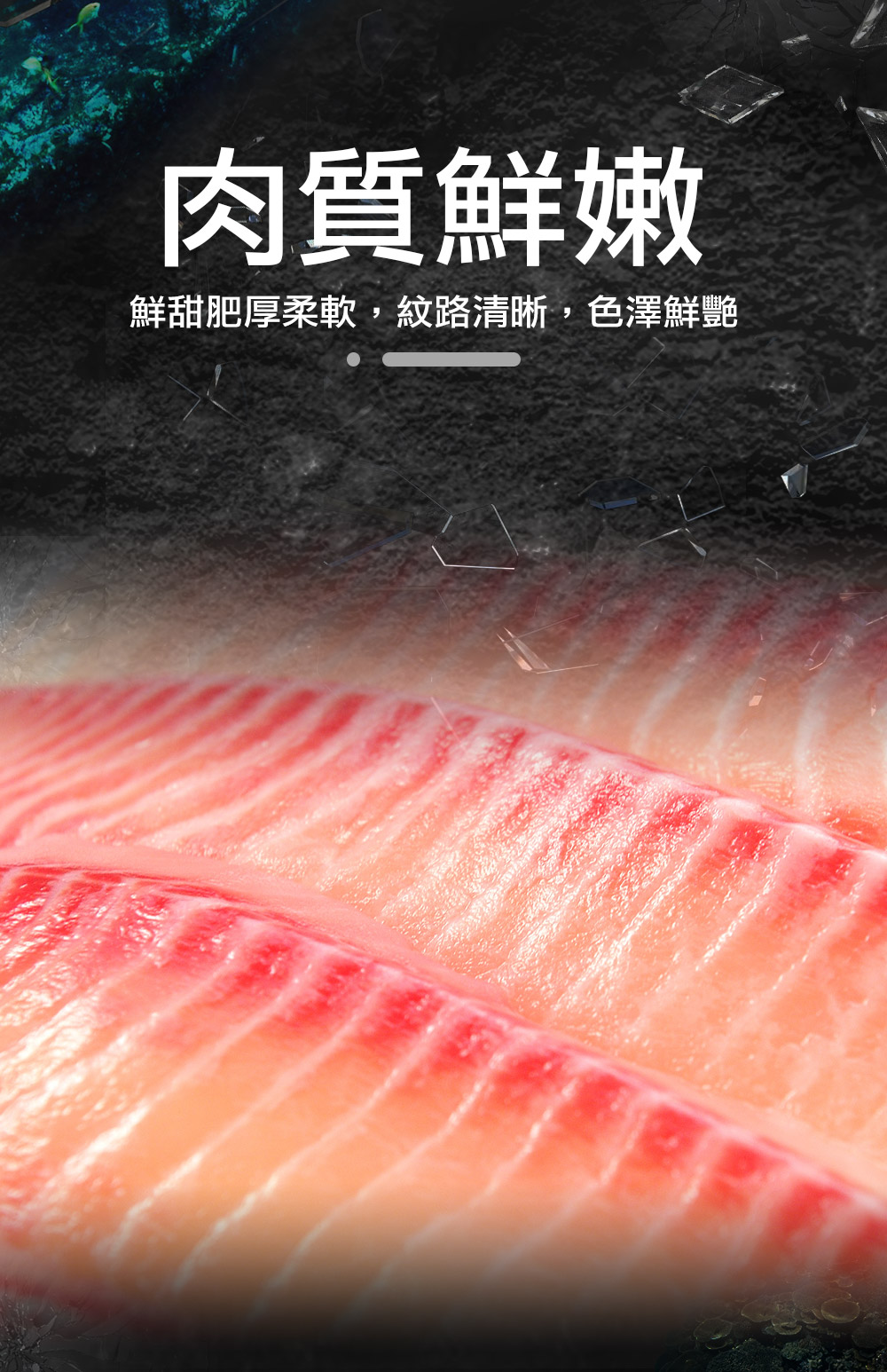 台灣極鮮鯛魚片5片入 (400g/包)