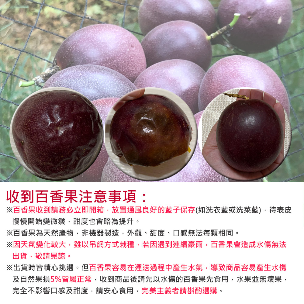 【南投埔里大坪頂直送】特A級台農1號百香果5台斤(產地直送_友善耕種)