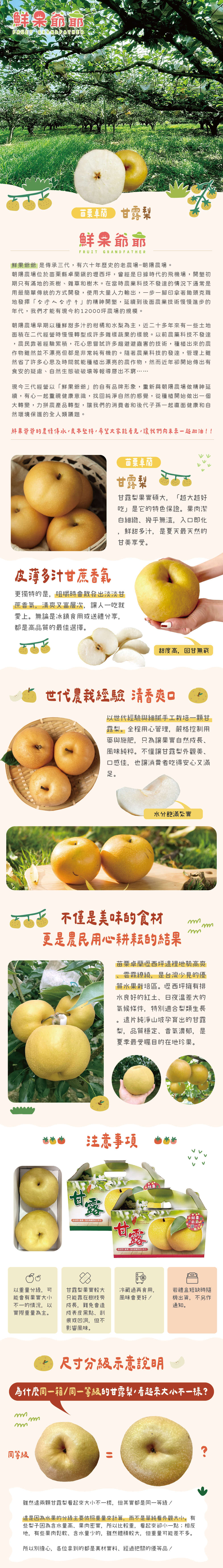 【鮮果爺爺】預購 苗栗卓蘭大果24A甘露梨禮盒(2顆/盒_單顆0.8kg以上)