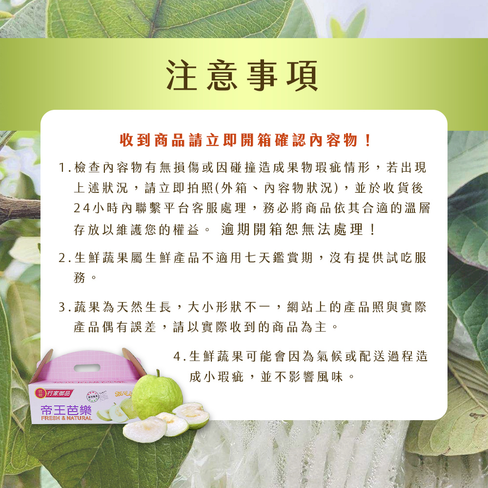 【雪莉朵辣嚴選】帝王芭樂 5斤箱(6-8粒)/十斤箱(11-15粒)