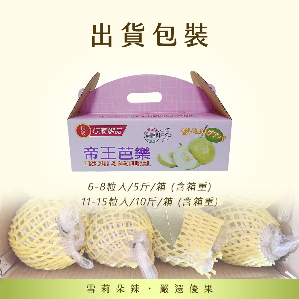 【雪莉朵辣嚴選】帝王芭樂 5斤箱(6-8粒)/十斤箱(11-15粒)