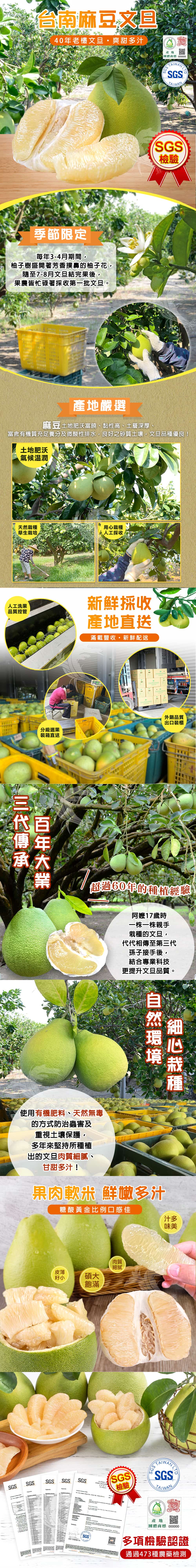 【禾鴻】預購 台南麻豆40年老欉文旦禮盒10斤/箱(8-10顆/箱)