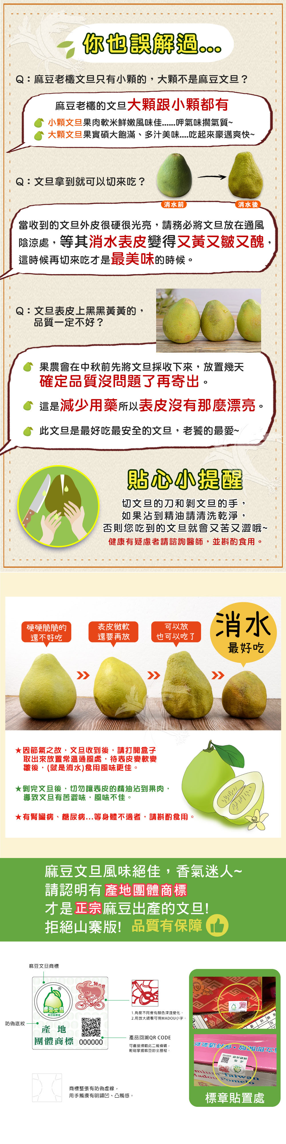 【禾鴻】預購 台南麻豆40年老欉文旦禮盒10斤/箱(8-10顆/箱)