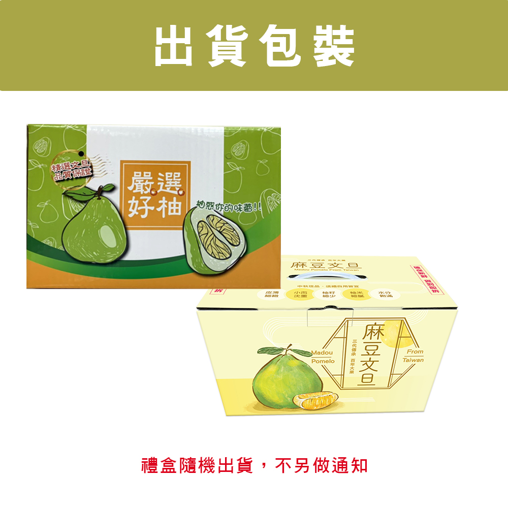 【禾鴻】預購 台南麻豆40年老欉文旦禮盒10斤/箱(8-10顆/箱)