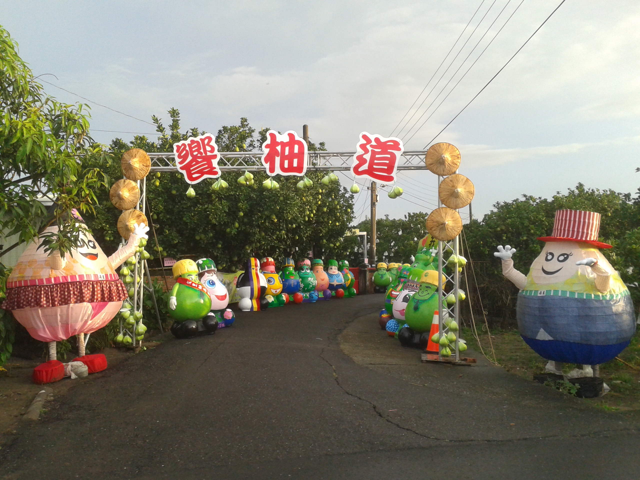 生產履歷認證55年台南麻豆優等級老欉文旦禮盒(8/25開始出貨)