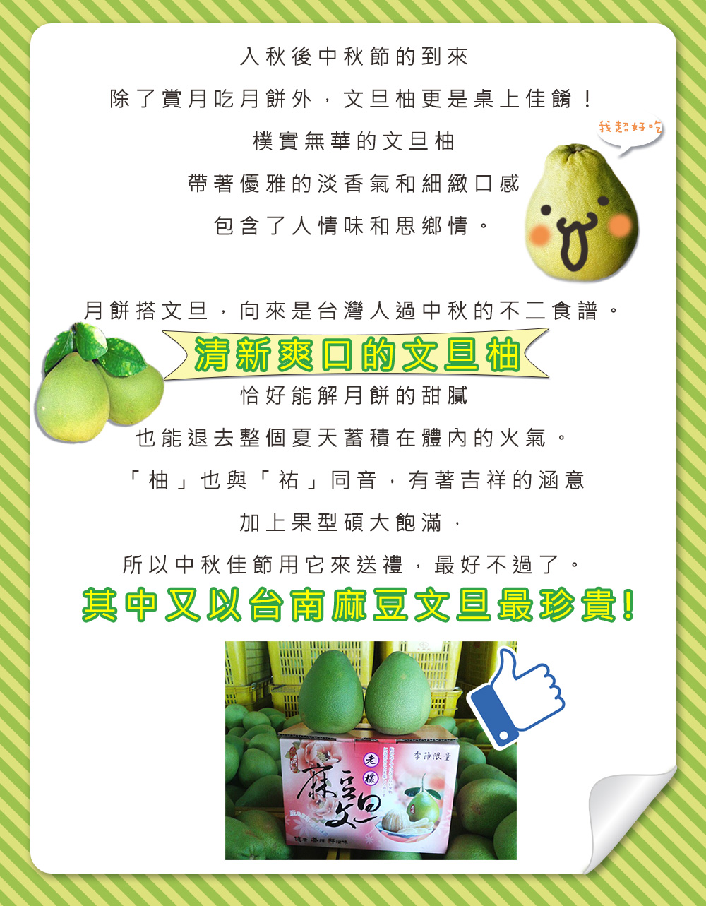 生產履歷認證55年台南麻豆優等級老欉文旦禮盒(8/25開始出貨)
