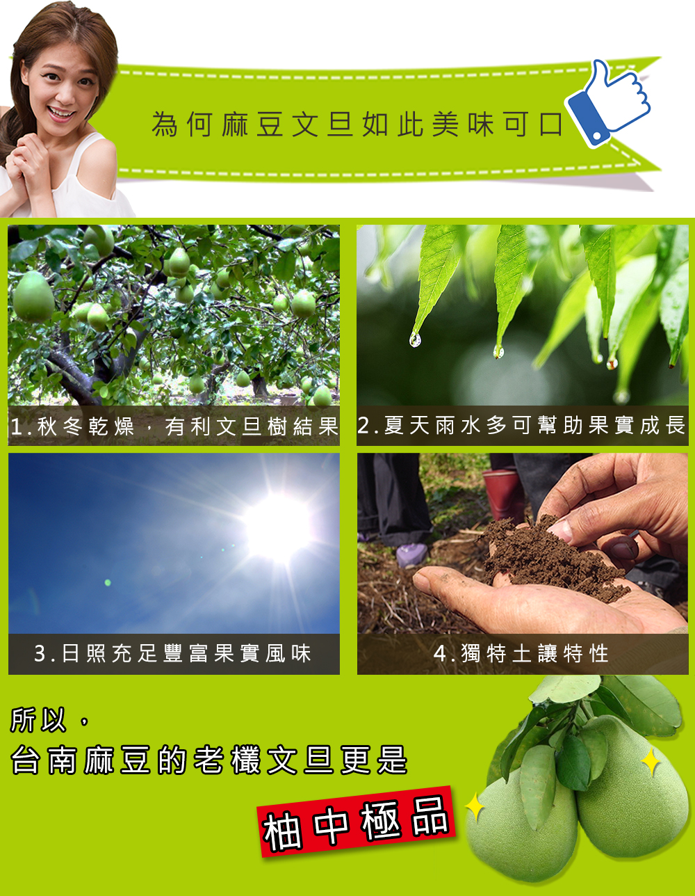生產履歷認證55年台南麻豆優等級老欉文旦禮盒(8/25開始出貨)