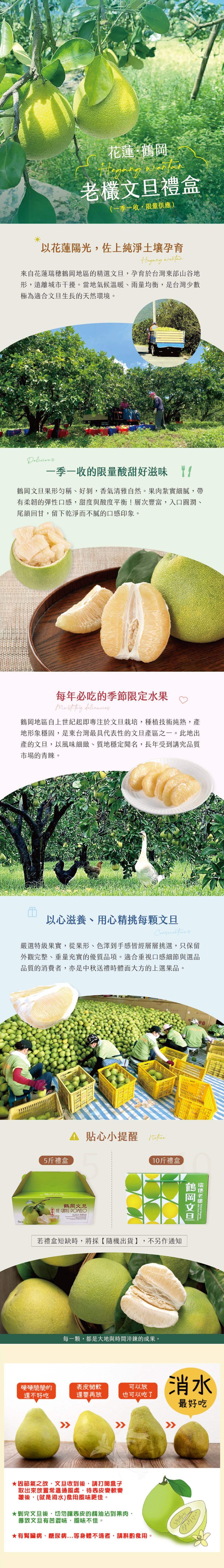 【禾鴻】預購 花蓮鶴岡嚴選頂級50年老欉文旦禮盒5斤/盒(6-8粒/盒)