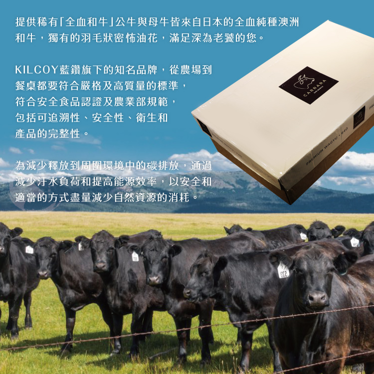 【勝崎生鮮】澳洲日本種極鮮嫩M9+和牛肉片200g~火鍋肉片 燒烤肉片 頂極和牛