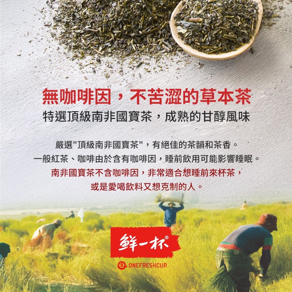 鮮一杯南非國寶茶 國寶綠茶 80包/袋 茶包 無咖啡因 可回沖 冷泡茶包 紅茶包 綠茶包 零負擔 沖泡飲品 國寶茶