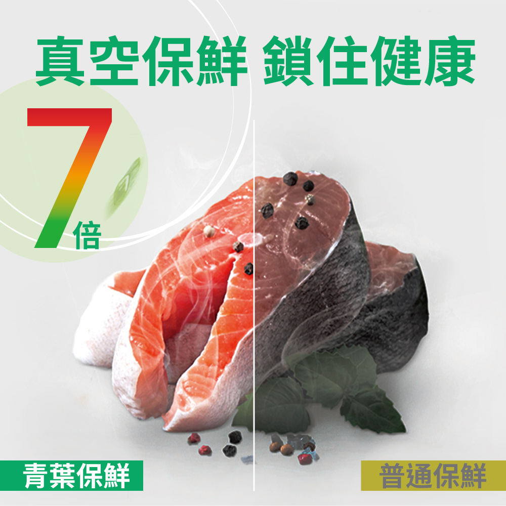 W100 真空包裝機 紋路袋專用 迷你居家必備款 公司貨