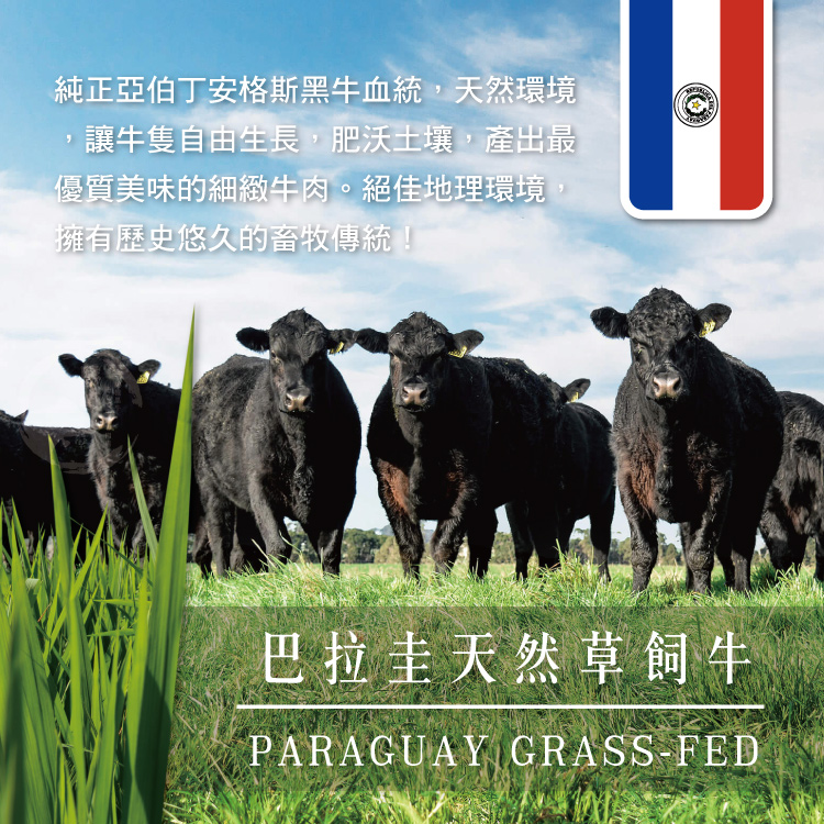 【勝崎生鮮】巴拉圭亞伯丁黑牛極鮮嫩肩牛肉片 200g