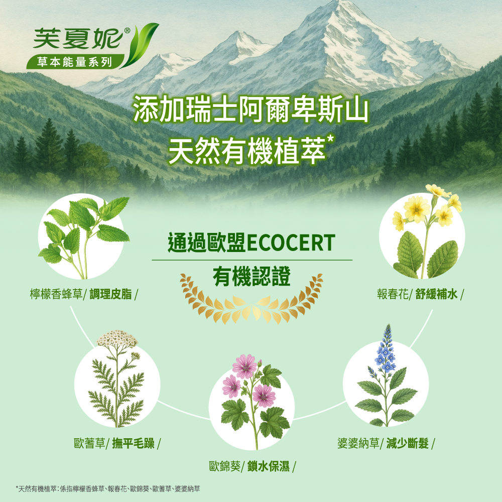 【芙夏妮】草本能量(洗髮露/潤髮乳)550mlx3入-全新草本系列-網