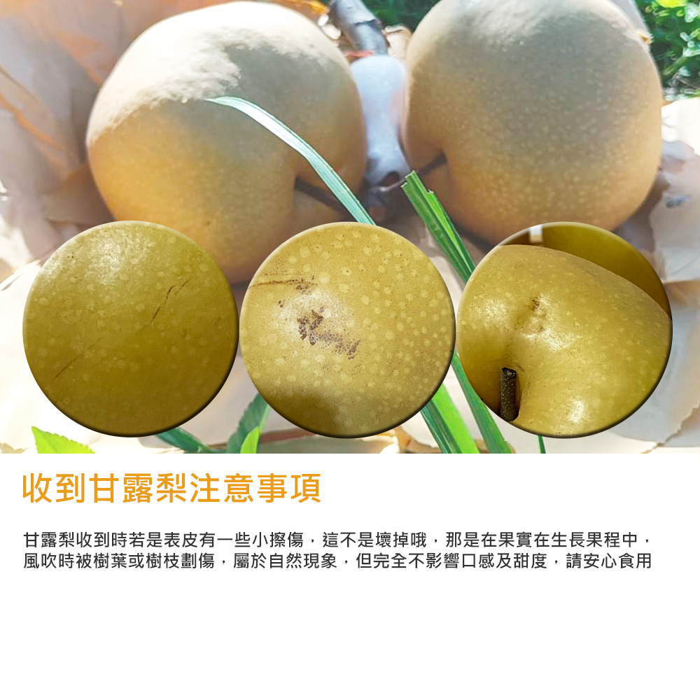 【玲梨淨智果園】台中東勢16~18A甘露梨6顆x1盒(中果_單顆600-650g±10%_產地直送_友善耕種)