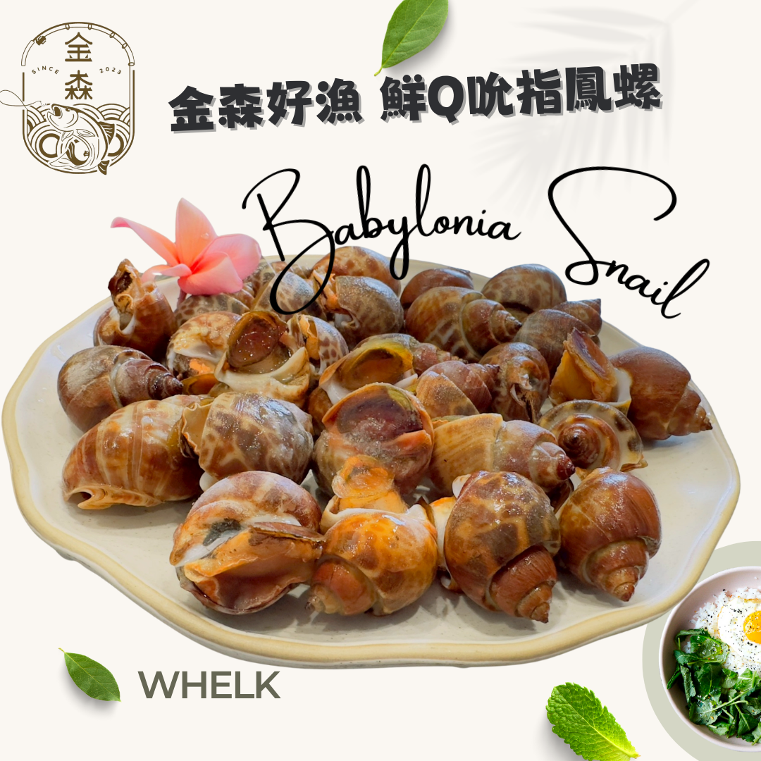 【生活好漁】金森鮮Q吮指鳳螺