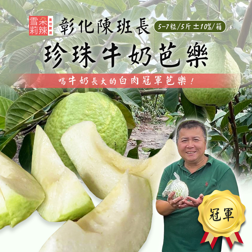 【雪莉朵辣嚴選】彰化陳班長冠軍 白肉芭樂 5斤/箱 珍珠牛奶芭樂