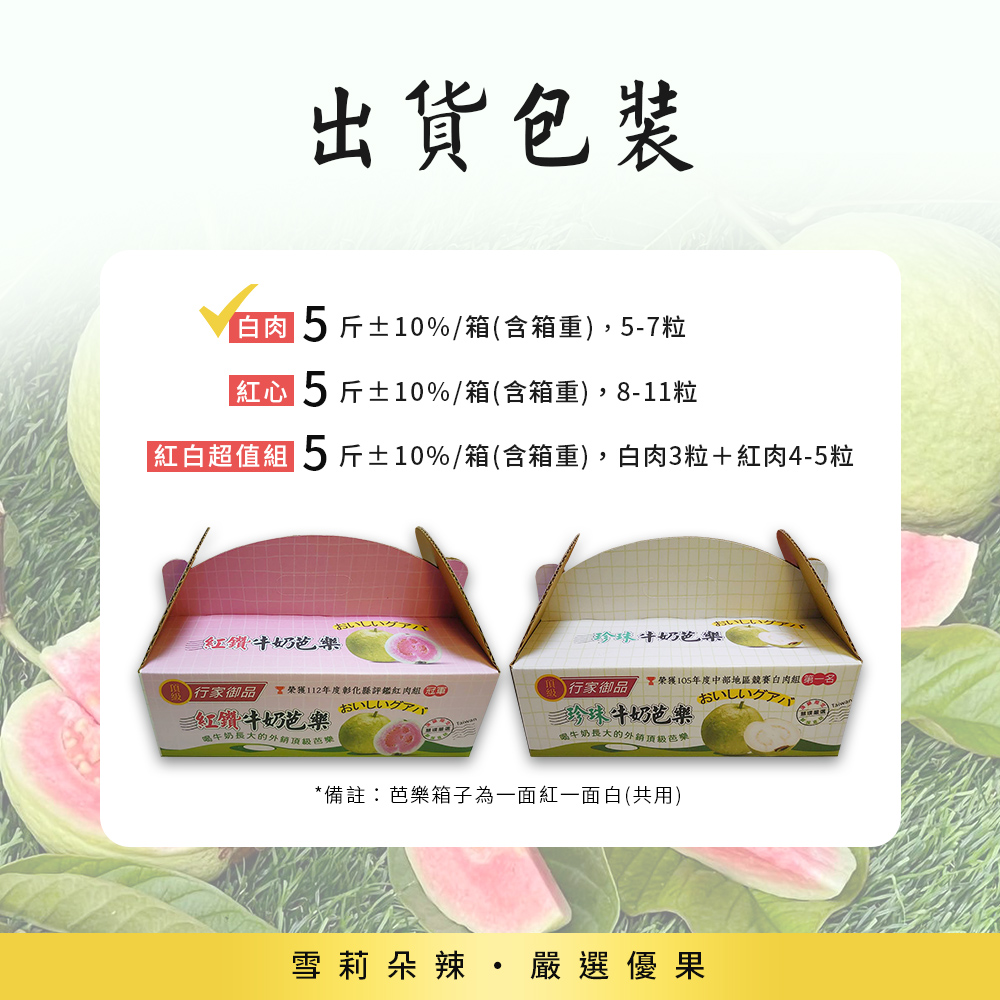 【雪莉朵辣嚴選】彰化陳班長冠軍 白肉芭樂 5斤/箱 珍珠牛奶芭樂