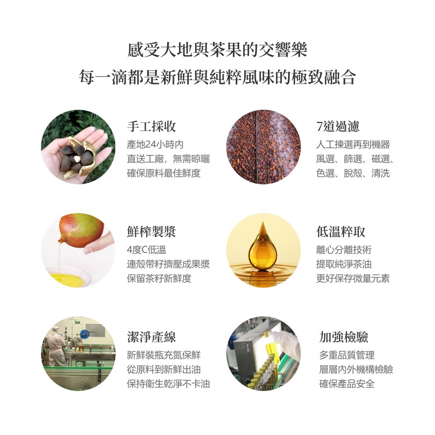 【籽熊寶】鮮果鮮榨山茶油 100%油茶籽 245ml/瓶