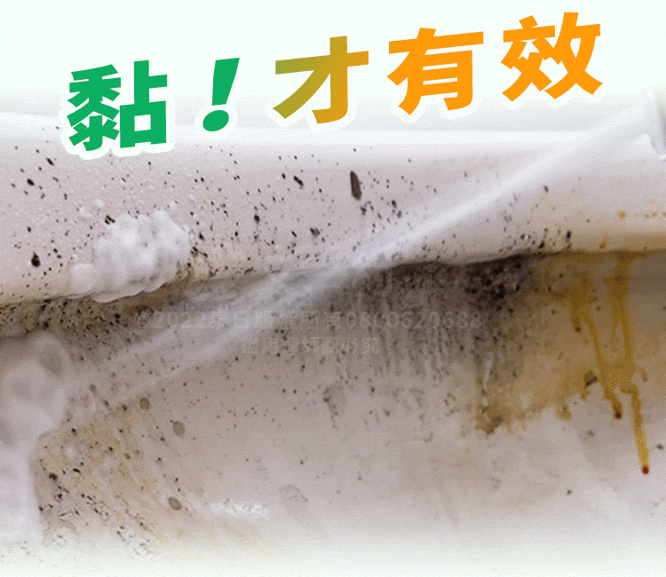 【台灣製造】MIT除霉噴霧 除黴慕斯 除霉