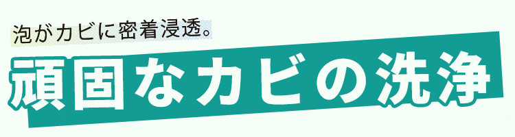 【台灣製造】MIT除霉噴霧 除黴慕斯 除霉