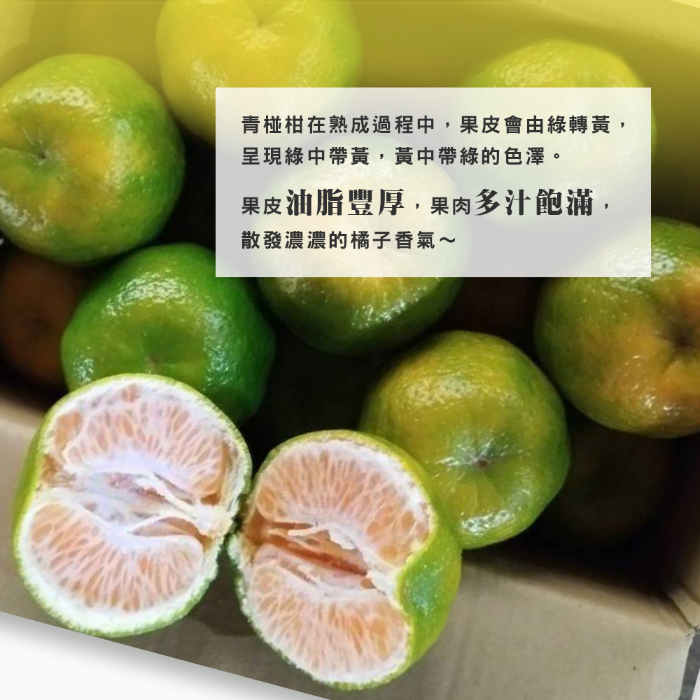 【雪莉朵辣嚴選】青皮椪柑 30A級大果5斤箱(7-9粒)/25A級中果5斤箱(11-13粒) -預購11/5-11/11出貨