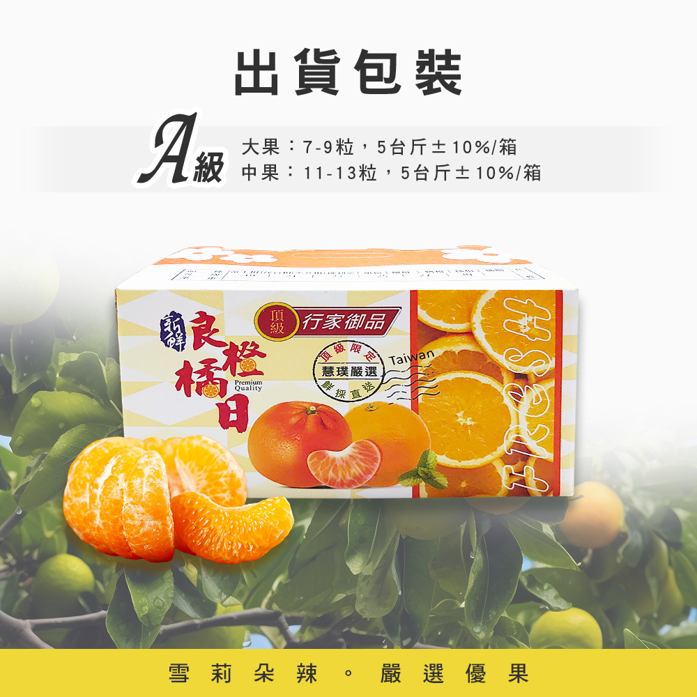 【雪莉朵辣嚴選】青皮椪柑 30A級大果5斤箱(7-9粒)/25A級中果5斤箱(11-13粒) -預購11/5-11/11出貨