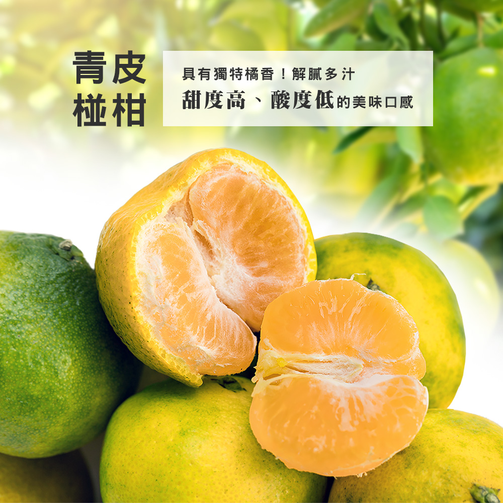 【雪莉朵辣嚴選】青皮椪柑 30A級大果5斤箱(7-9粒)/25A級中果5斤箱(11-13粒) -預購11/5-11/11出貨