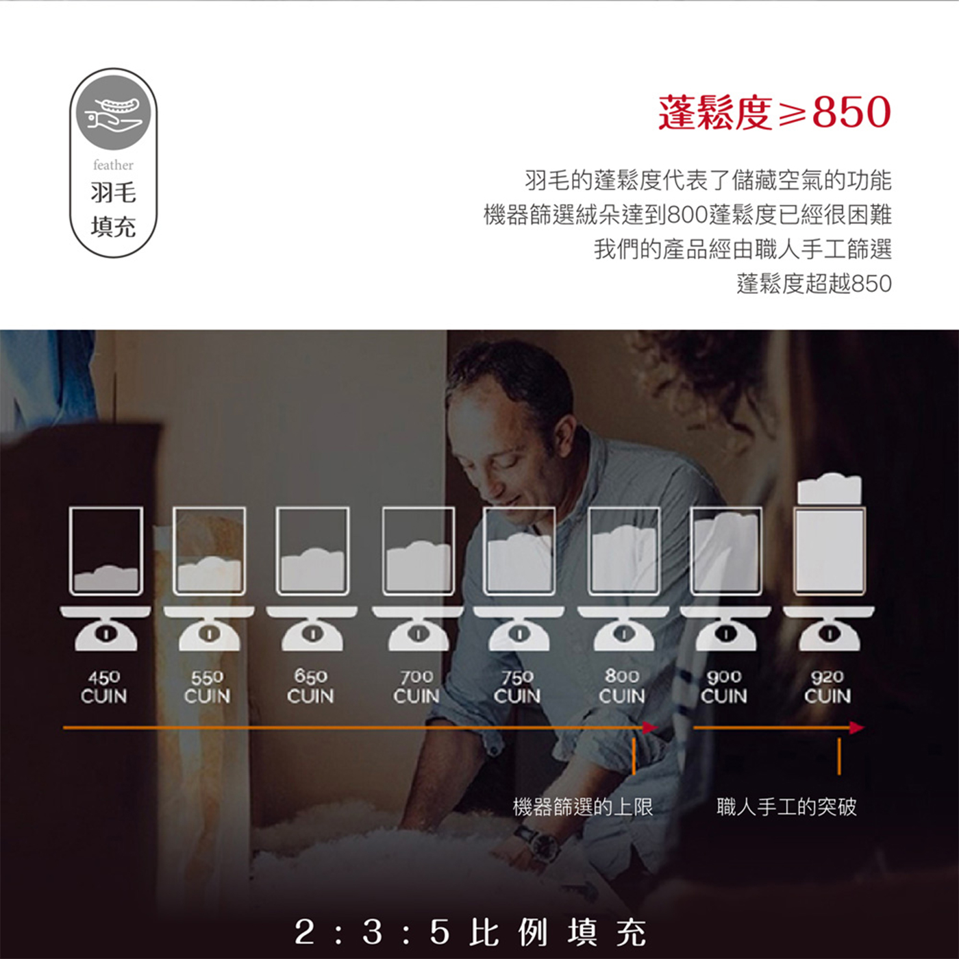 【BEST】台灣製造石墨烯系列 天絲保暖被 水鳥被 發熱羊毛被 四季被 8x7尺保暖被 冬被 多款任選 贈行李箱吊牌 1入