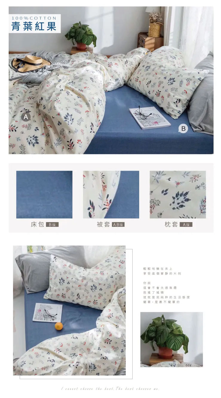 歐風 精梳純棉床包兩用被套組 251105