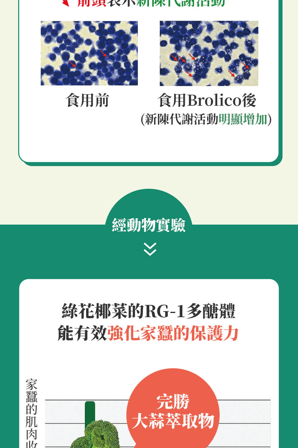 日本Brolico保綠康 綠花椰菜多醣體 (錠狀90顆)