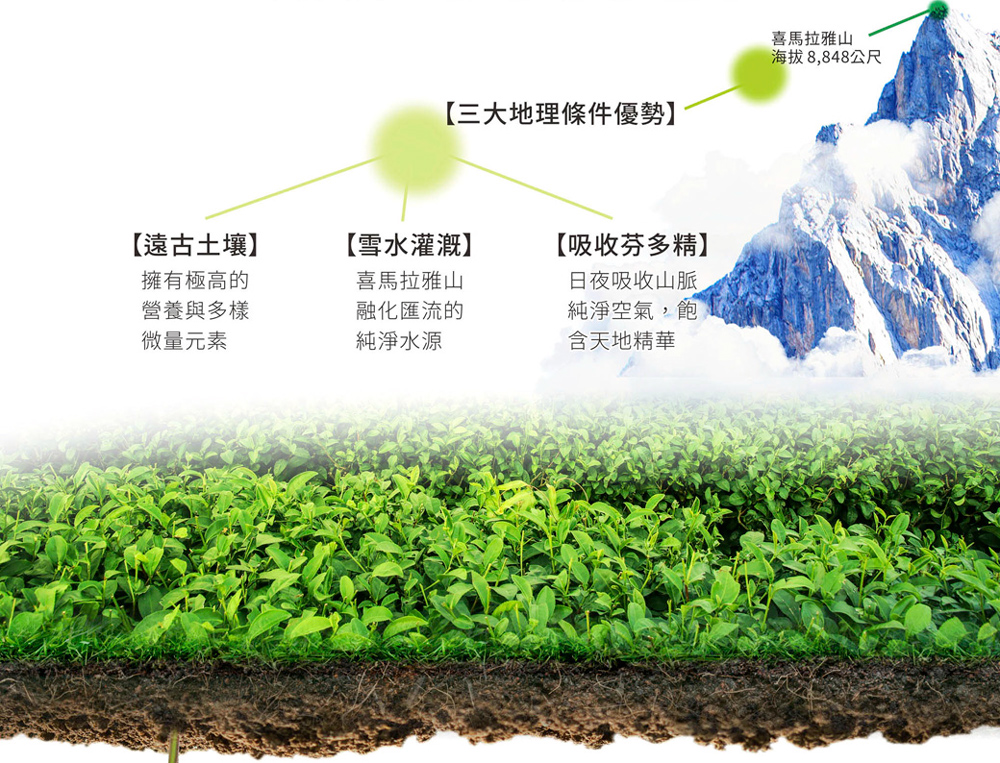 金美克能 抗屑洗髮乳9˚C 強健配方 750ml