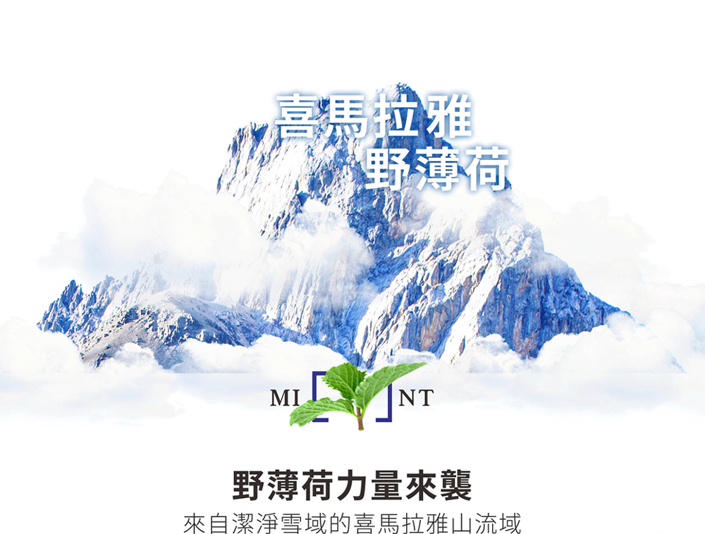 金美克能 抗屑洗髮乳9˚C 強健配方 750ml