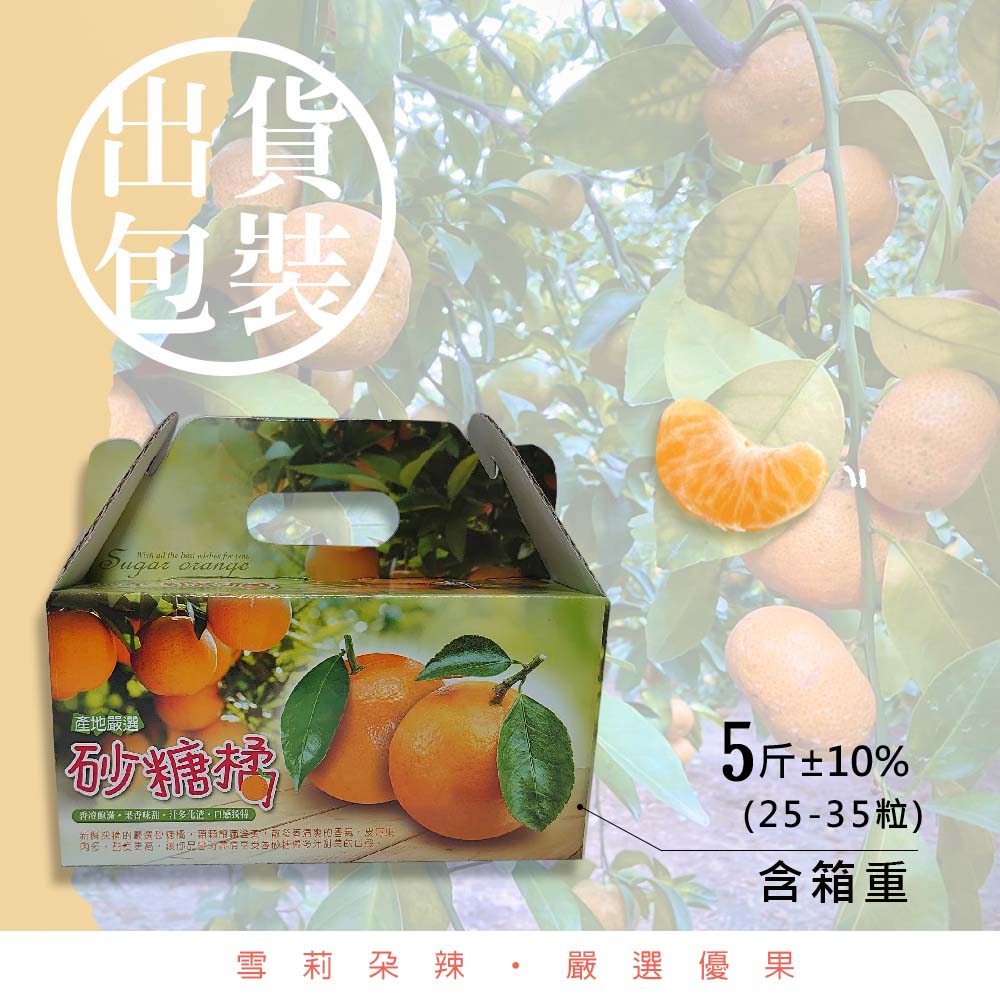 【雪莉朵辣嚴選】古坑砂糖橘 5斤/箱(約25-35粒)