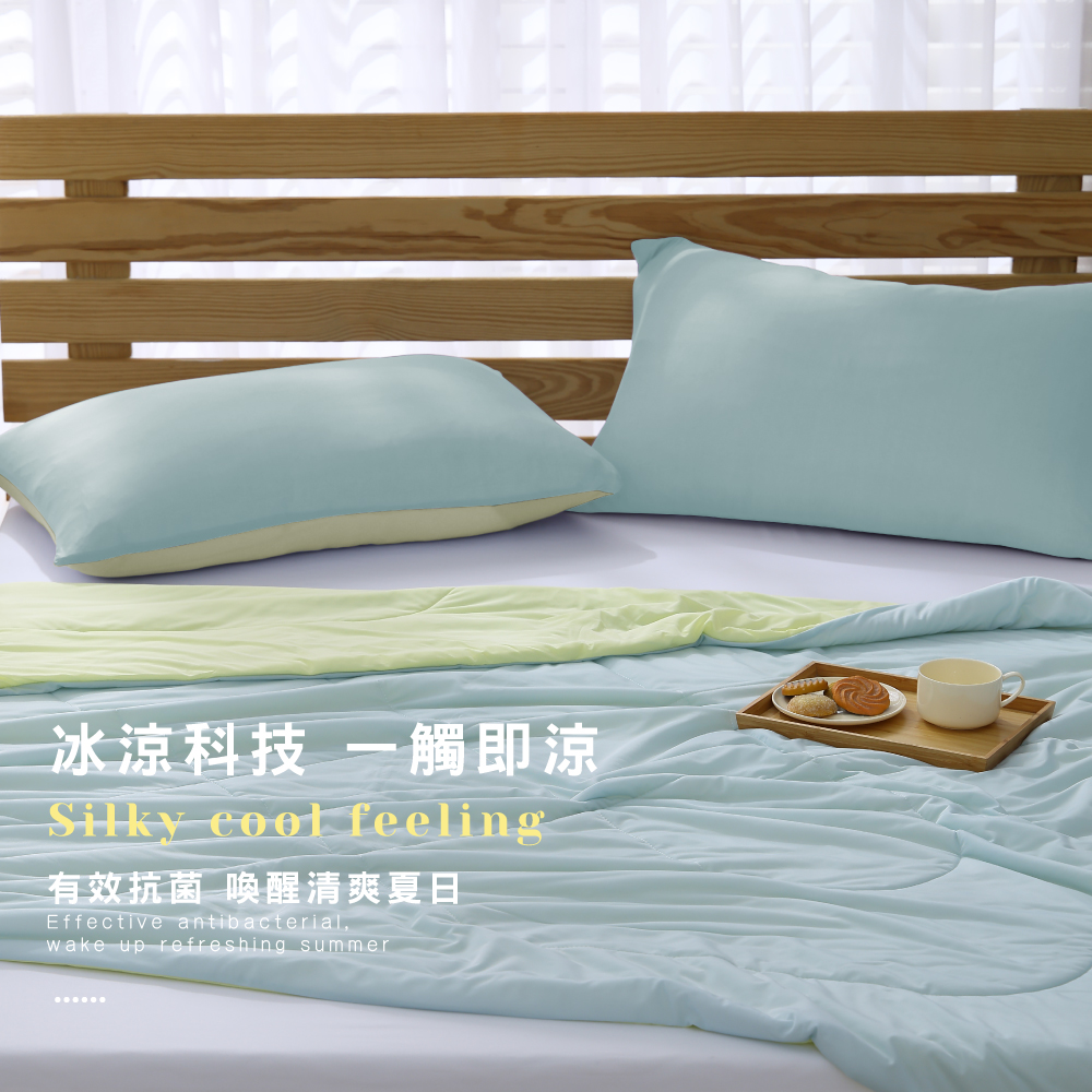 (20250721新增款式)【BEST】玩色雙面涼感冰凍被 枕套組 冰冰被 冰絲 涼被 夏被 冷氣被 薄被 多款任選