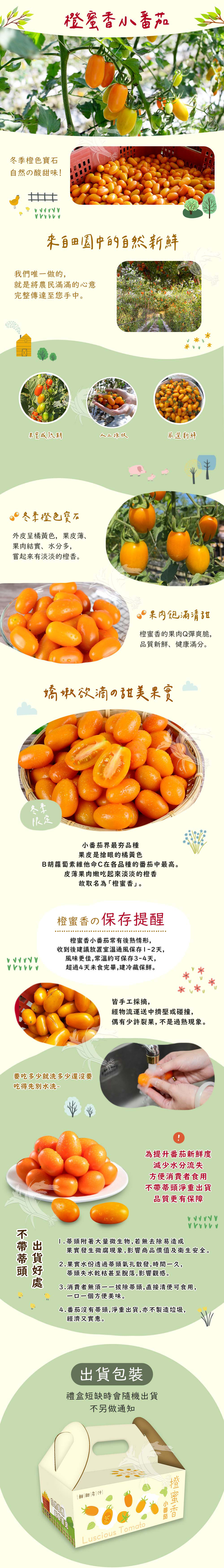 【禾鴻】橙蜜香小番茄禮盒5斤/盒(不帶蒂頭出貨)