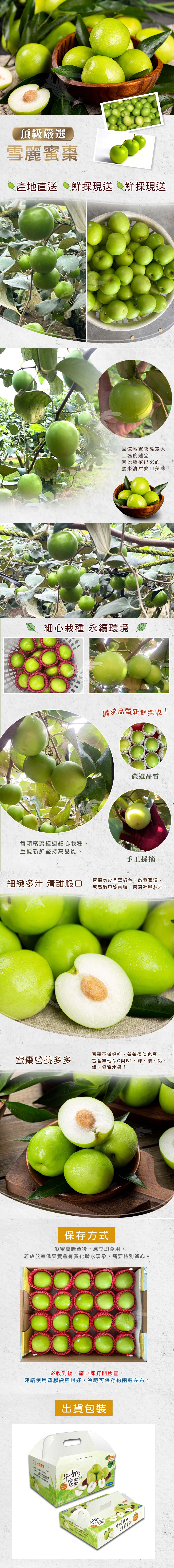 【禾鴻】燕巢頂級雪麗蜜棗禮盒20入裝/盒(單顆3.4-3.9兩)