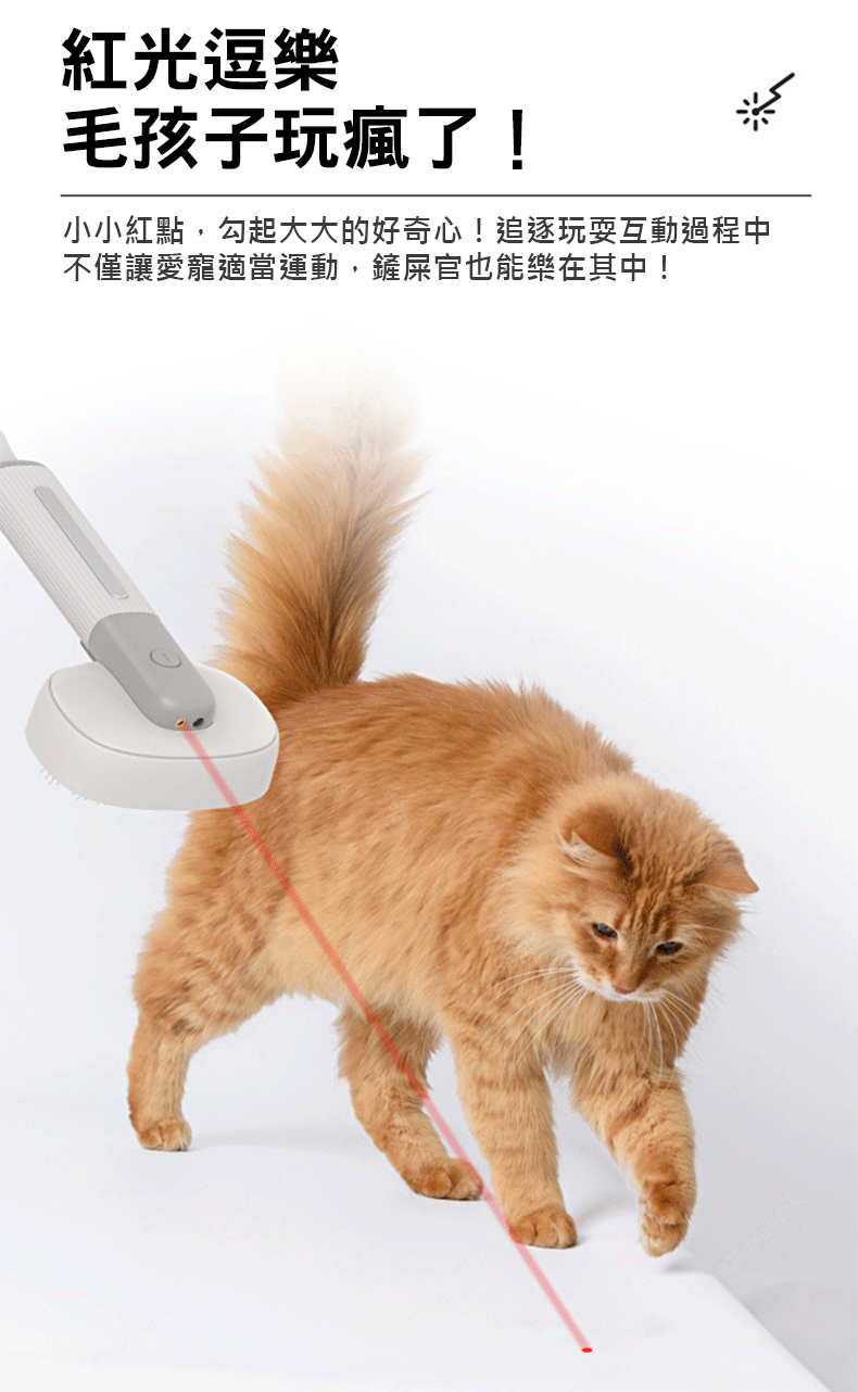 四合一寵物電動按摩梳 寵物梳