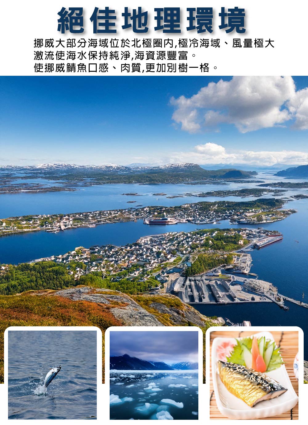 【鮮綠生活】挪威薄鹽鯖魚片(無紙板實重135g) 鯖魚排 魚排 魚肉 調味鯖魚