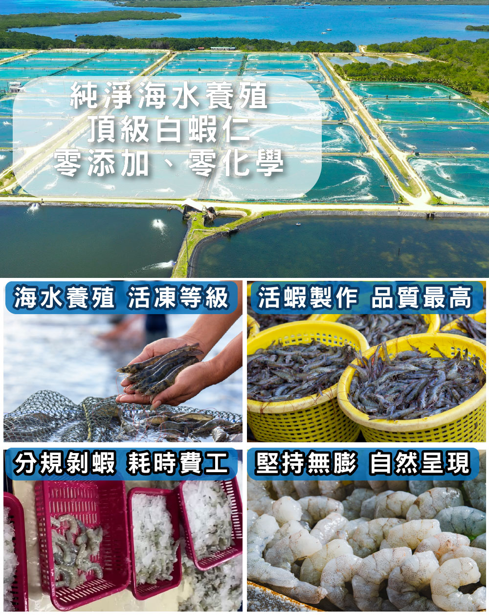 夾鏈袋包450G無膨發白蝦仁(規格71/90)