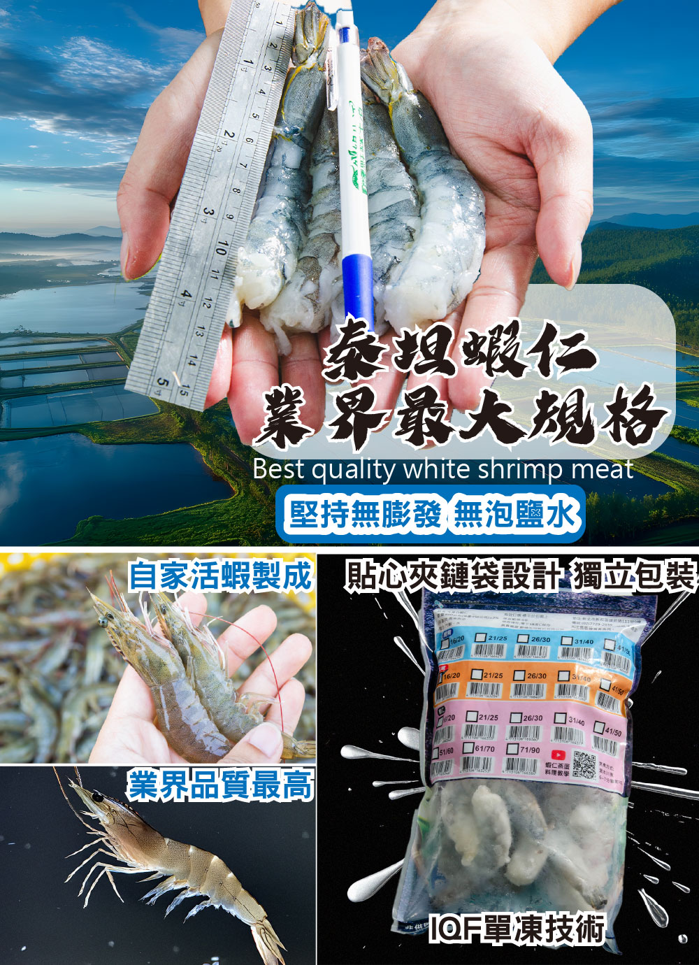 巨大泰坦無膨發白蝦仁450G(規格16/20)