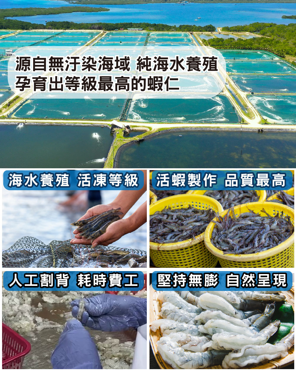 巨大泰坦無膨發白蝦仁450G(規格16/20)